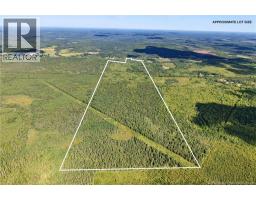 Lot Route 10, Upper Salmon Creek, NB O0O0O0 Photo 8
