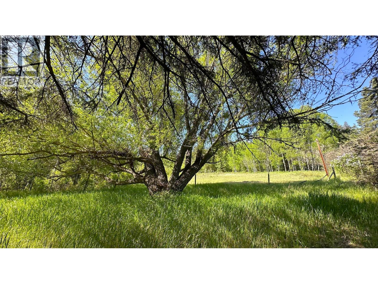 4325 Moan Road - 6