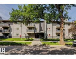 #303 10838 108 St Nw, Edmonton, AB T5H3A6 Photo 21