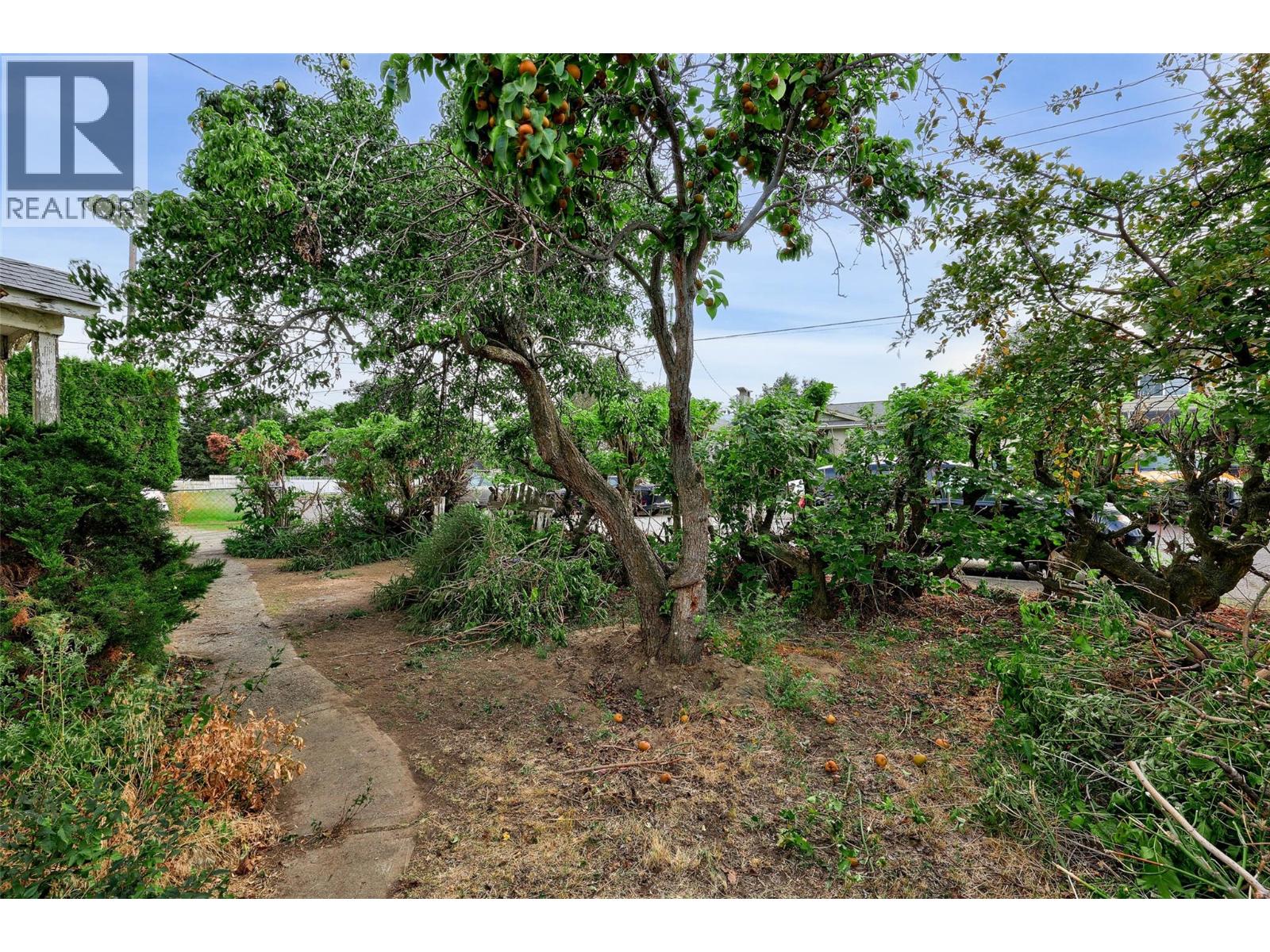 322 LINDEN Avenue - 6