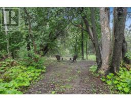 308451 Hockley Road, Mono, ON L9W2Z2 Photo 27