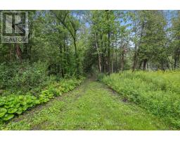 308451 Hockley Road, Mono, ON L9W2Z2 Photo 26