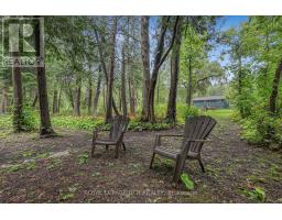 308451 Hockley Road, Mono, ON L9W2Z2 Photo 37