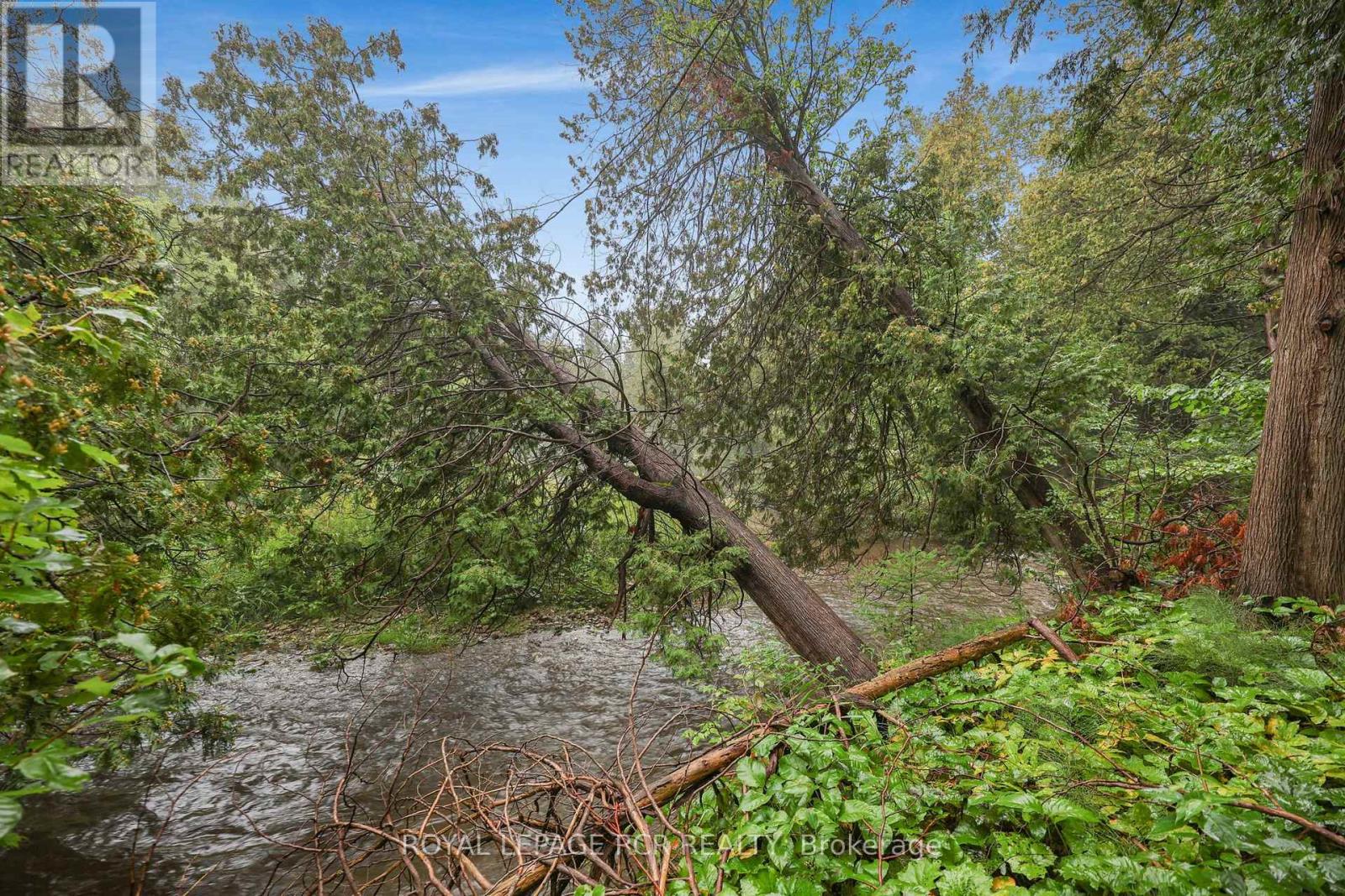 308451 HOCKLEY ROAD - Image 35