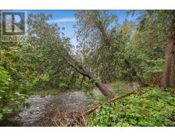 308451 Hockley Road, Mono, ON L9W2Z2 Photo 35