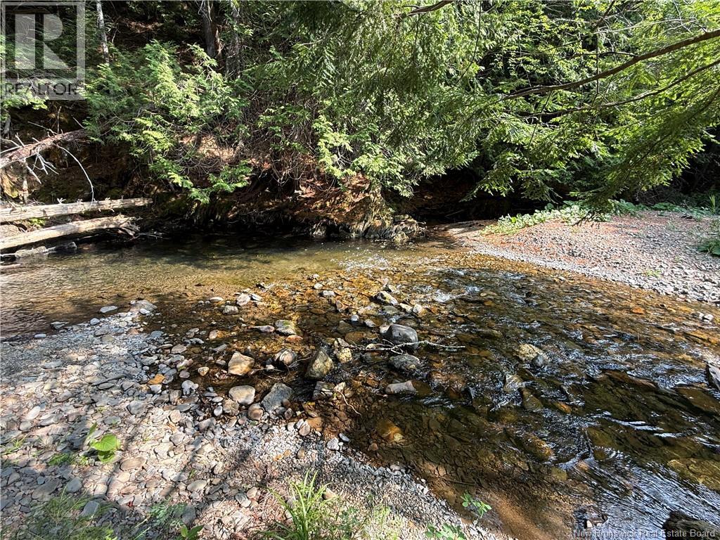 2206 Kintore Road - 14