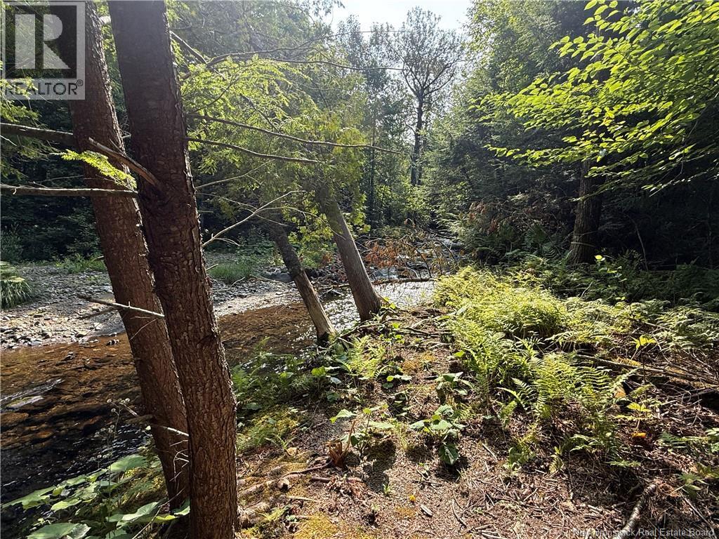 2206 Kintore Road - 15