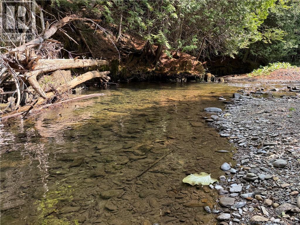 2206 Kintore Road - 17