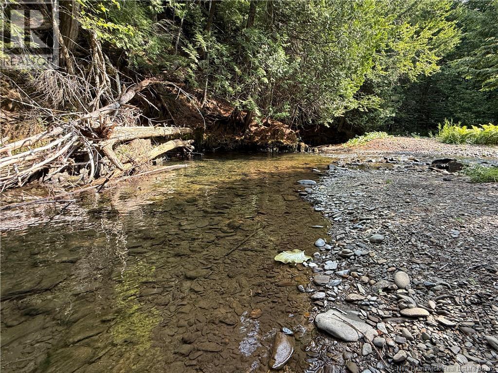 2206 Kintore Road - Image 18