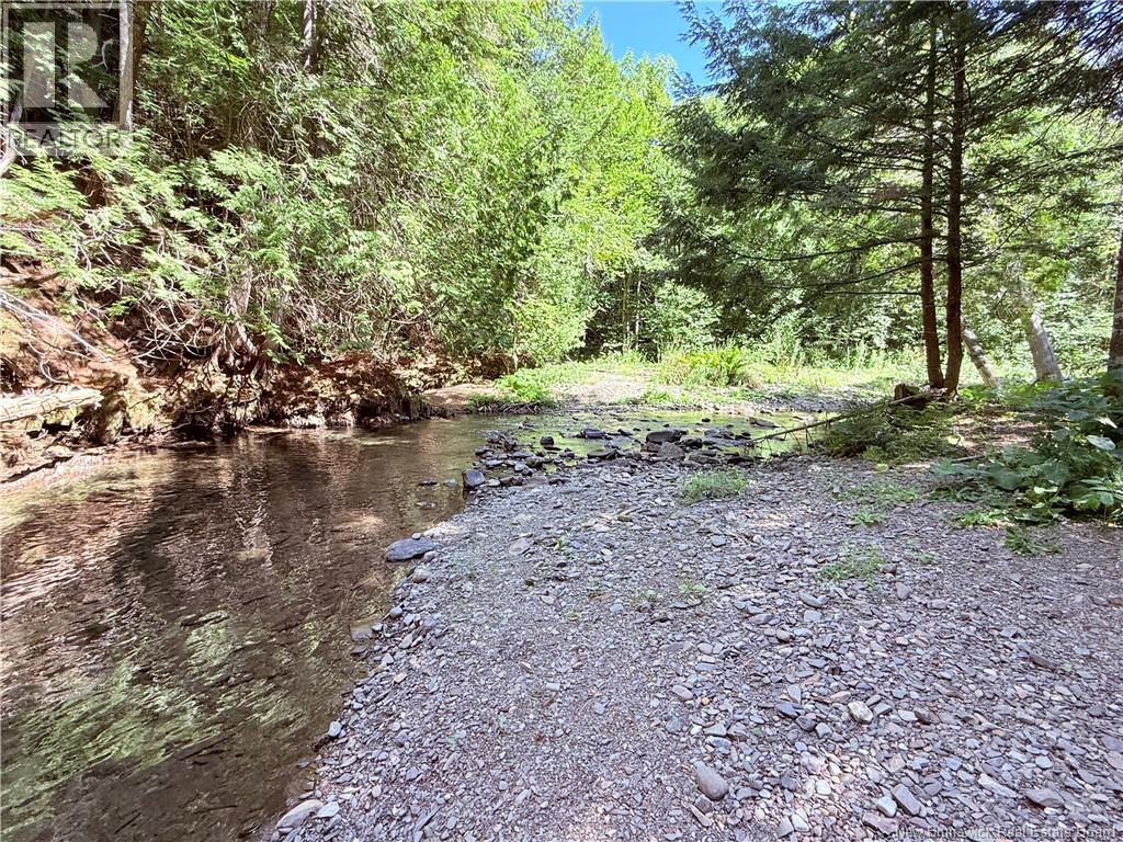 2206 Kintore Road - 21