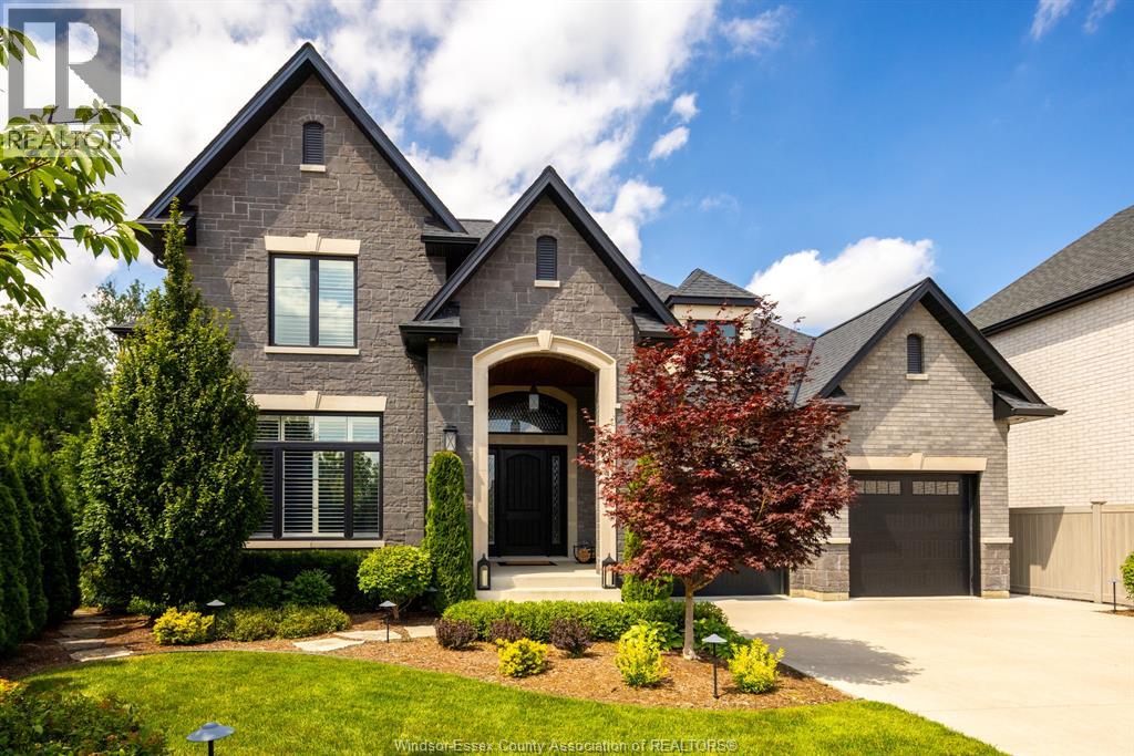 6005 Silver Maple - 2