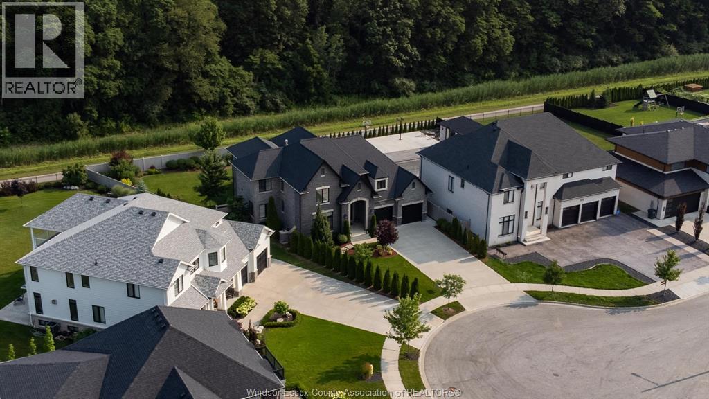 6005 Silver Maple - 38