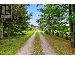 2577 Adjala Tecumseth Townline, New Tecumseth, ON L0G1W0 Photo 11