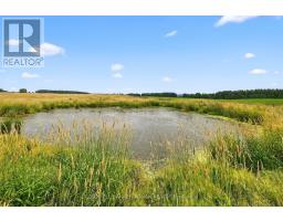 2577 Adjala Tecumseth Townline, New Tecumseth, ON L0G1W0 Photo 31