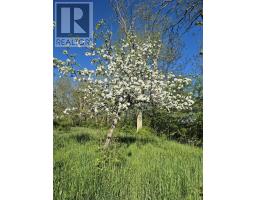 Lot 2025 Clarence Road, Central Clarence, NS B0S1M0 Photo 10