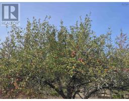 Lot 2025 Clarence Road, Central Clarence, NS B0S1M0 Photo 14