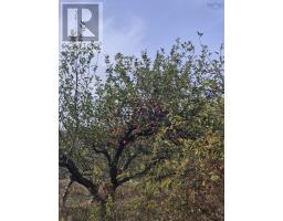 Lot 2025 Clarence Road, Central Clarence, NS B0S1M0 Photo 22