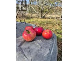 Lot 2025 Clarence Road, Central Clarence, NS B0S1M0 Photo 15