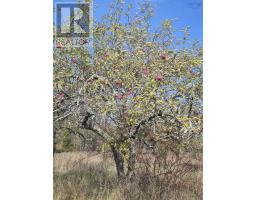 Lot 2025 Clarence Road, Central Clarence, NS B0S1M0 Photo 21