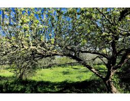 Lot 2025 Clarence Road, Central Clarence, NS B0S1M0 Photo 8