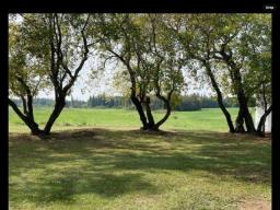 115085 Rd 126 Road, Horod, MB R0G0N0 Photo 8