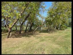 115085 Rd 126 Road, Horod, MB R0G0N0 Photo 7