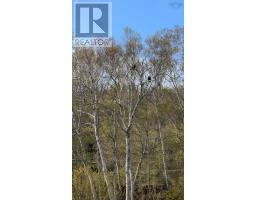 Marble Mountain Road, Lime Hill, NS B0E3K0 Photo 22