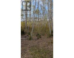Marble Mountain Road, Lime Hill, NS B0E3K0 Photo 19