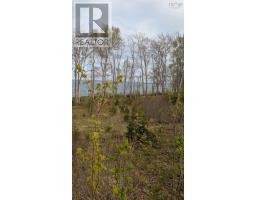 Marble Mountain Road, Lime Hill, NS B0E3K0 Photo 27