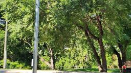 202 Lyndale Drive, Winnipeg, MB R2H1L6 Photo 22