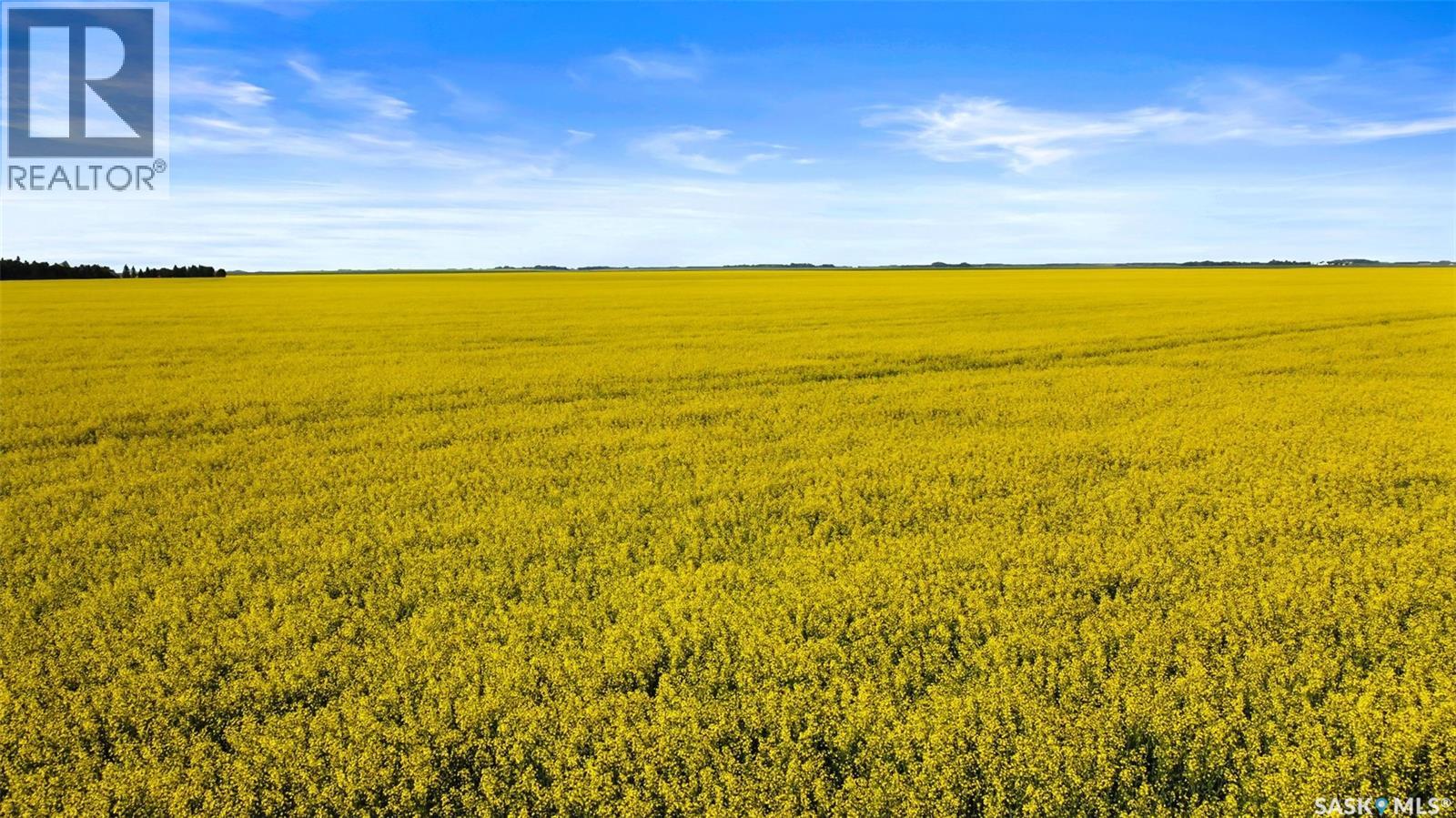 REGINA HWY. 6 North Development Land, Sherwood Rm No. 159, Saskatchewan, S4P3C7, Sherwood Rm No. 159, Saskatchewan — photo 4 of 5