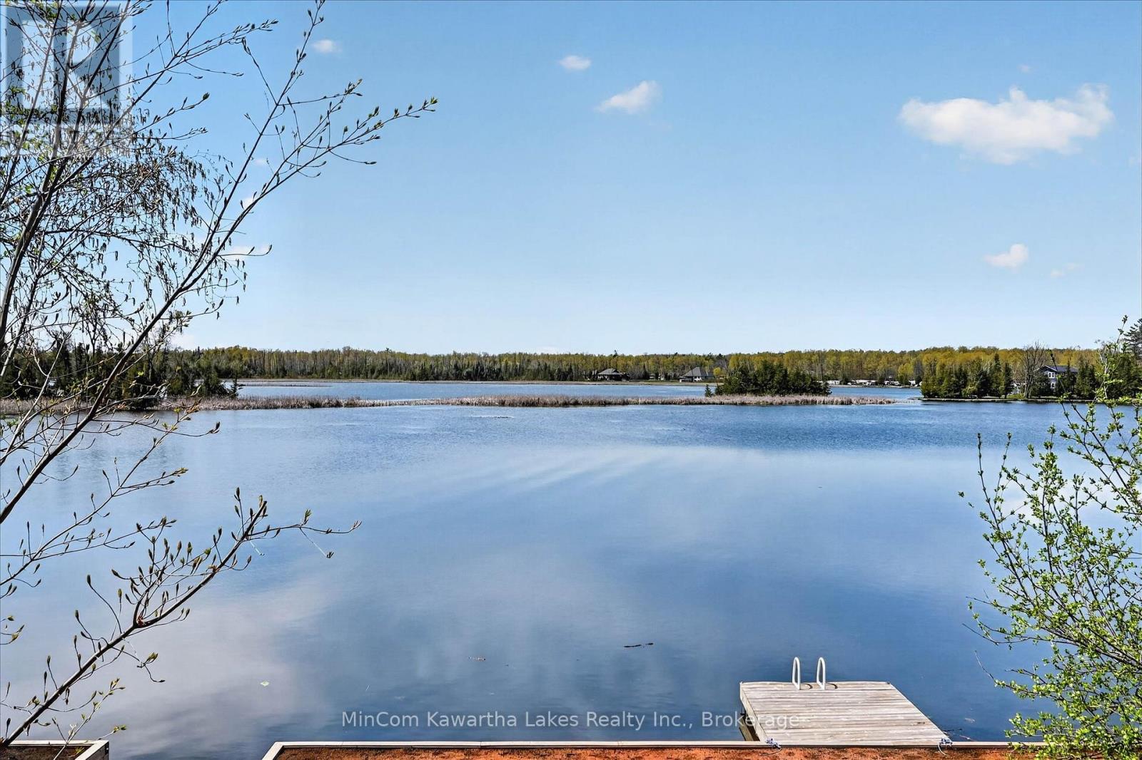 54 WOODLAND TRAIL - Image 8