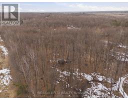 00 Part Of Lot 11 Gagne Road, Clarence Rockland, ON K0A2A0 Photo 12