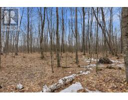 00 Part Of Lot 11 Gagne Road, Clarence Rockland, ON K0A2A0 Photo 13