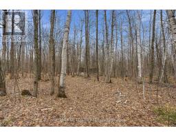 00 Part Of Lot 11 Gagne Road, Clarence Rockland, ON K0A2A0 Photo 14