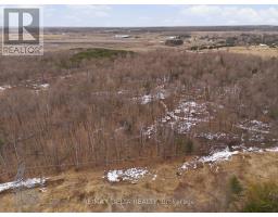 00 Part Of Lot 11 Gagne Road, Clarence Rockland, ON K0A2A0 Photo 19