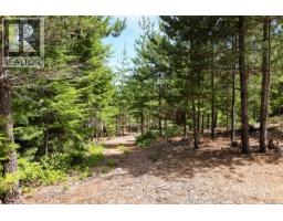 4150 Pinecrest Rd, Denman Island, BC V0R1T0 Photo 59