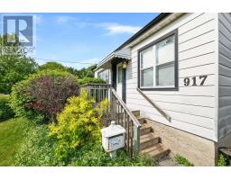 917 Green Street, Whitby, ON L1N4G4 Photo 17