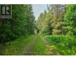 291 Danis Road, West Nipissing, ON P0L1L0 Photo 28