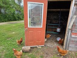 5059 77w Road, Mather, MB R0K0L0 Photo 30