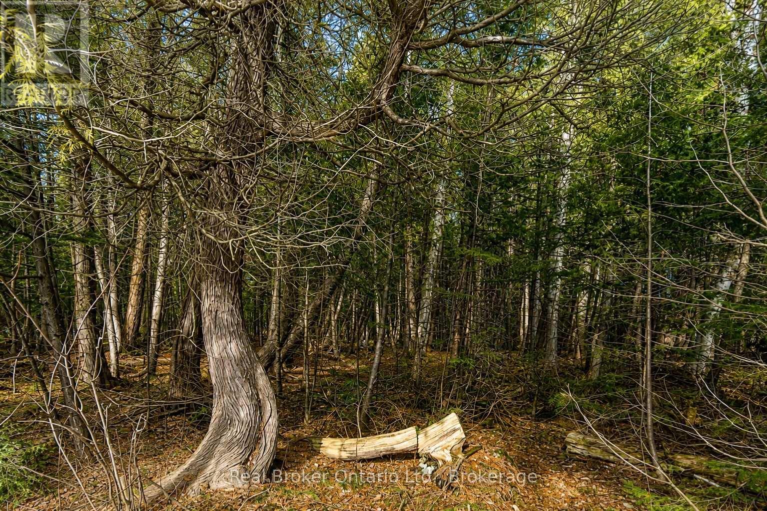 LOT 116 IROQUOIS Crescent, Tiny, Ontario, L9M0C6, Tiny, Ontario — photo 3 of 5