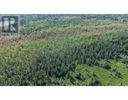 12830 County  15 Road, Merrickville Wolford, ON K0G1N0 Photo 27