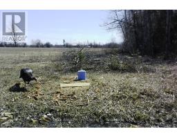12830 County  15 Road, Merrickville Wolford, ON K0G1N0 Photo 31