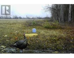 12830 County  15 Road, Merrickville Wolford, ON K0G1N0 Photo 32