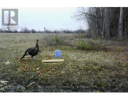 12830 County  15 Road, Merrickville Wolford, ON K0G1N0 Photo 29