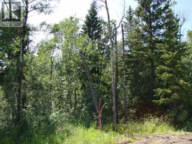 15 LAKESIDE Drive, Perch Lake, Saskatchewan, S0M2G0, Perch Lake, Saskatchewan — photo 2 of 2