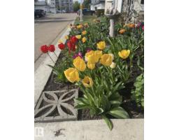 #7 85 Gervais Rd, St  Albert, AB T8N6H5 Photo 57