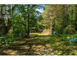 2145 18th Side Road, New Tecumseth, ON L0G1W0 Photo 22