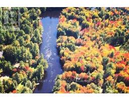 1019 Forrester Trail, Bracebridge, ON P1L1W9 Photo 13