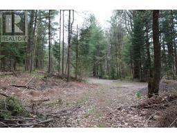 1019 Forrester Trail, Bracebridge, ON P1L1W9 Photo 6